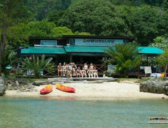 Downbelow Marine & Wildlife Adventures