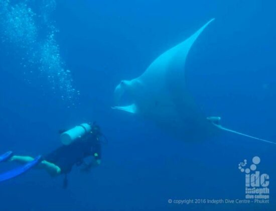 Indepth Dive Centre
