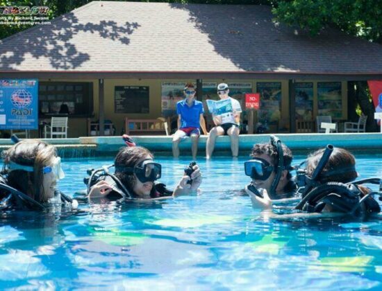 Downbelow Marine & Wildlife Adventures