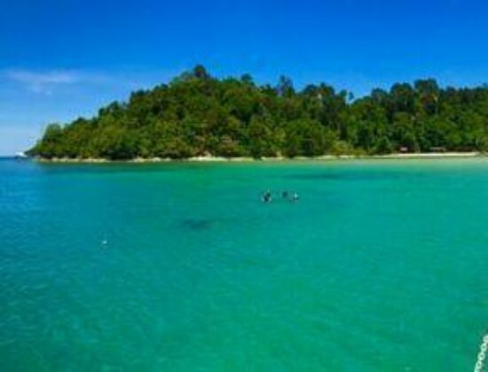 Downbelow Marine & Wildlife Adventures