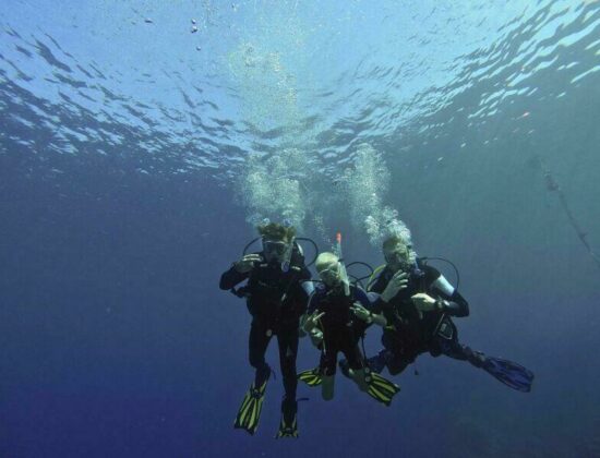 ABC Dive
