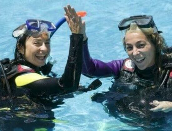 Scuba Tours