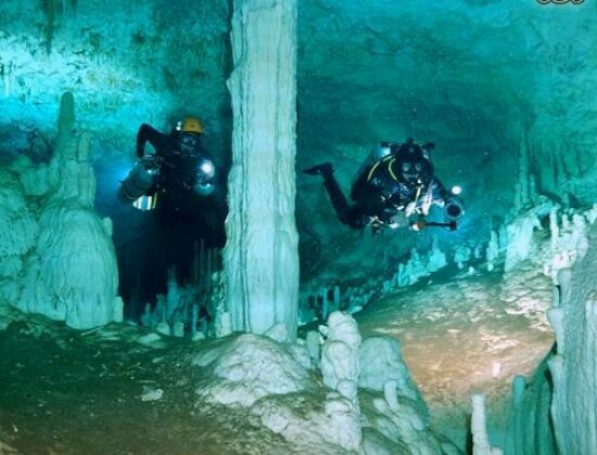 Koox Diving