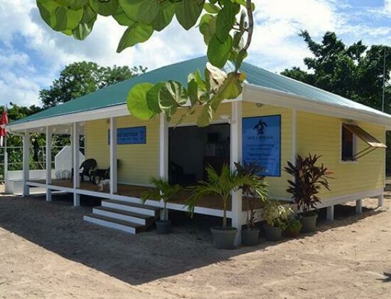 Dive Grenada