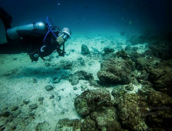 Panama Dive Center