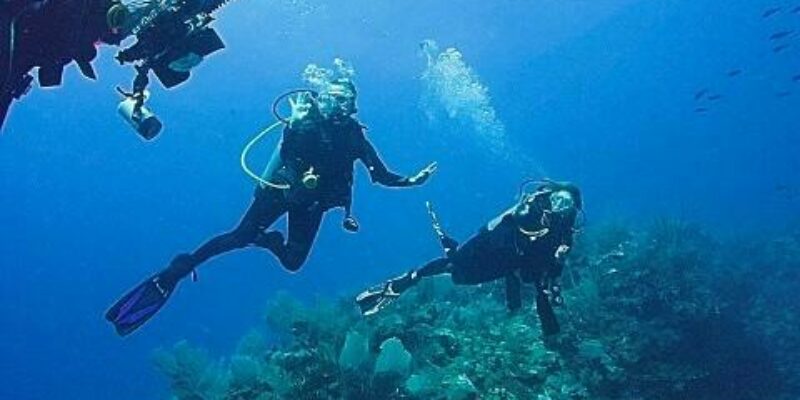 Rincon Diving & Snorkeling