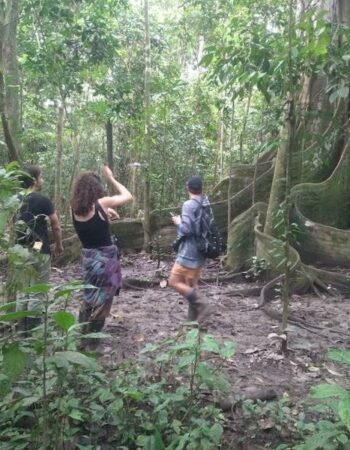 Romani Amazon Jungle Tours