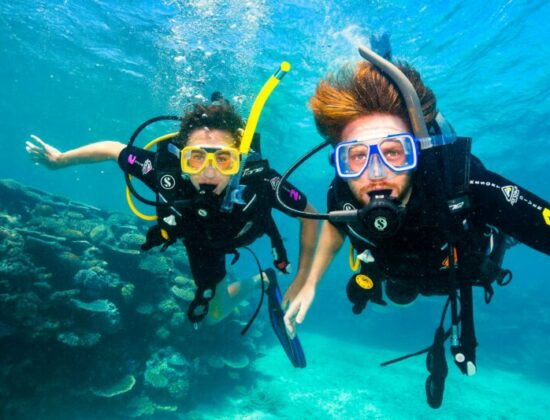 Scuba IQ