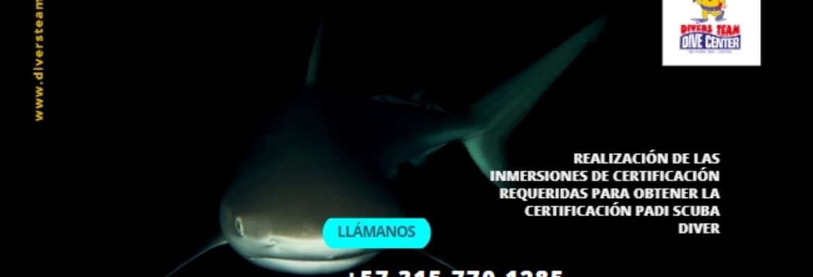 Centro de Buceo PADI en San Andrés Islas. Diving Center, Snorkeling.