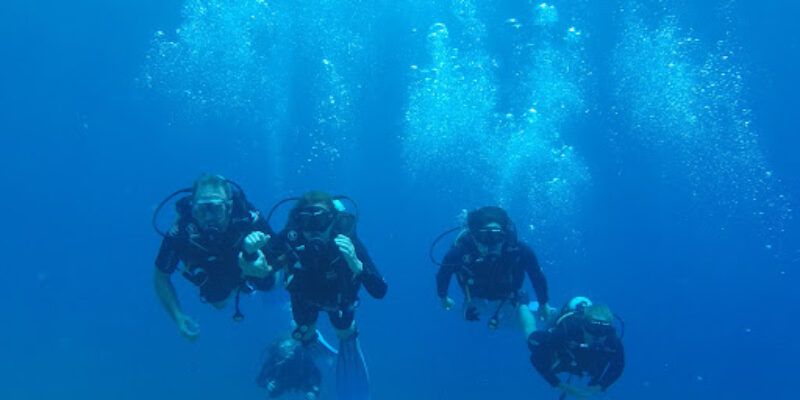 Sinai Divers Backpackers