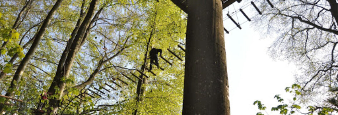 Adventure Park – Signal de Bougy