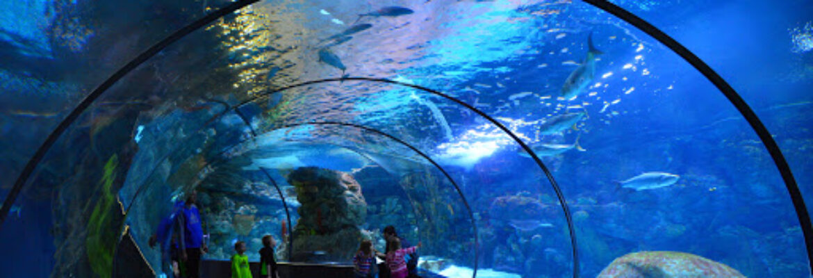 Omaha’s Henry Doorly Zoo and Aquarium
