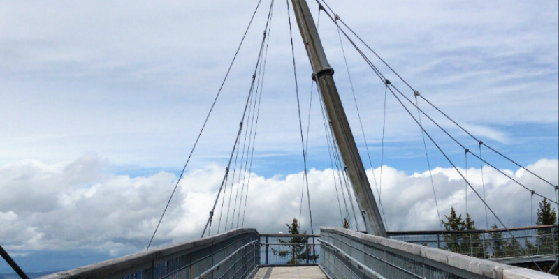 skywalk allgäu Wald Abenteuerwelt