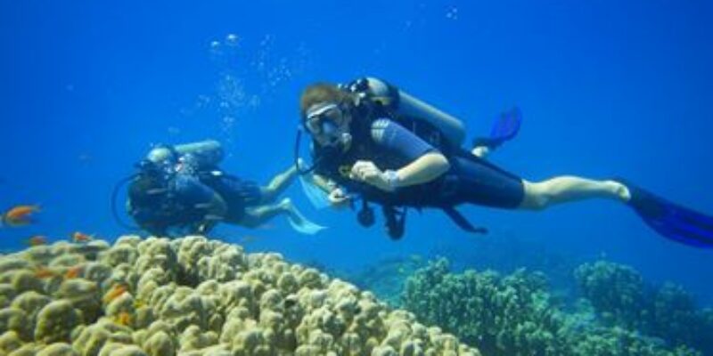 Dive Pro Academy