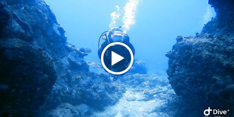 Pisces Diving Charter-Sodwana Bay