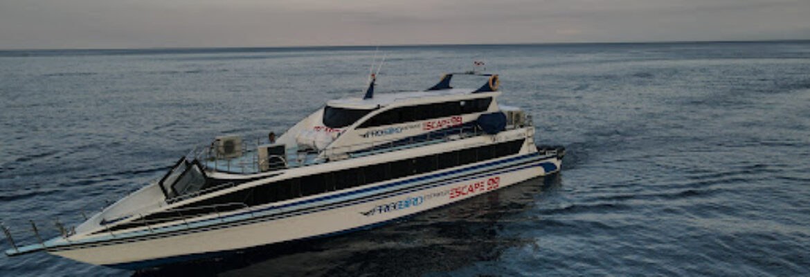 FreeBird Express