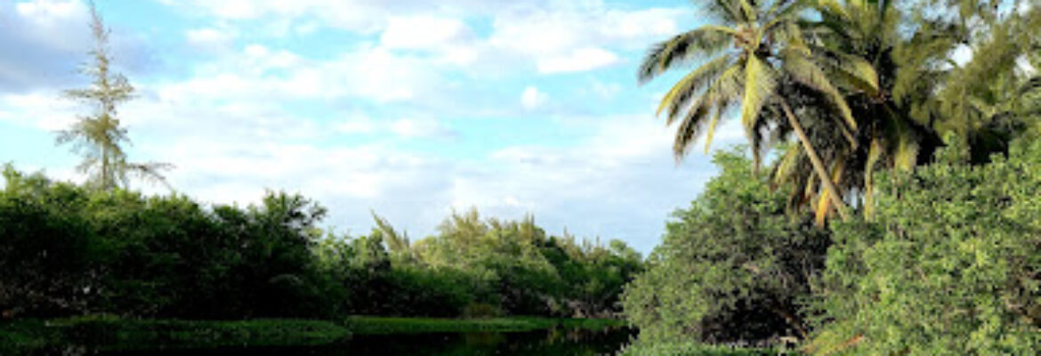 Ski Nautique Club de Saint Paul 974