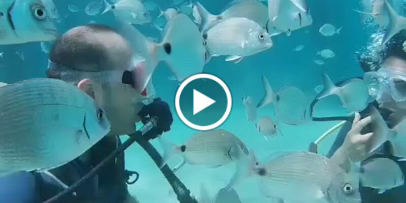 Didim Diving Center