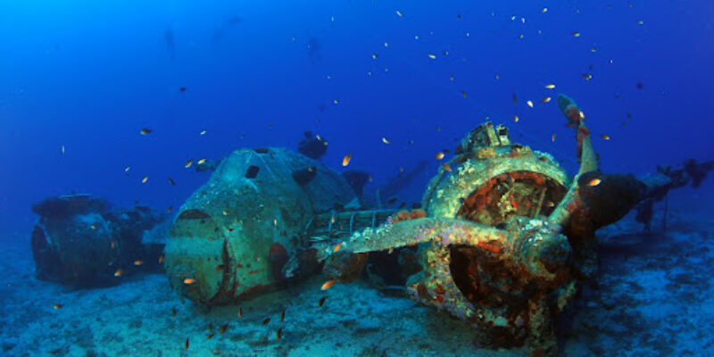 Blue Fin Divers