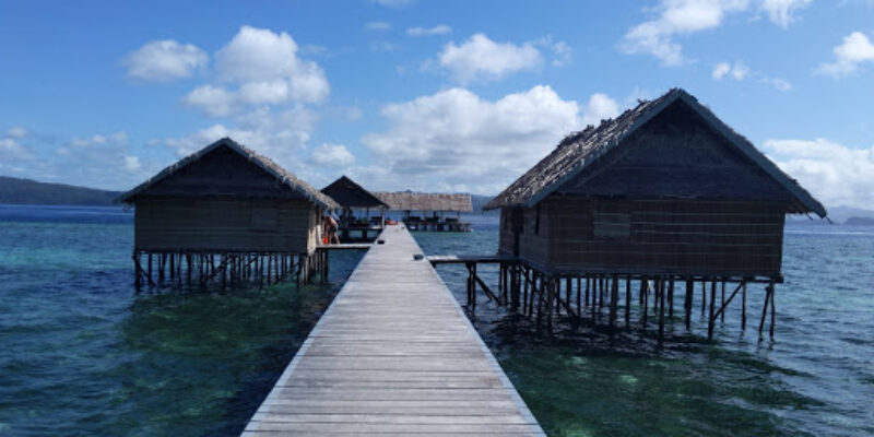 Papua Diving – Kri Eco Resort