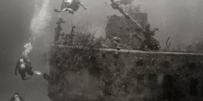 Diver’s Wearhouse, Inc.