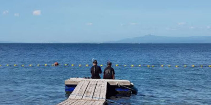 Divefirm Inc
