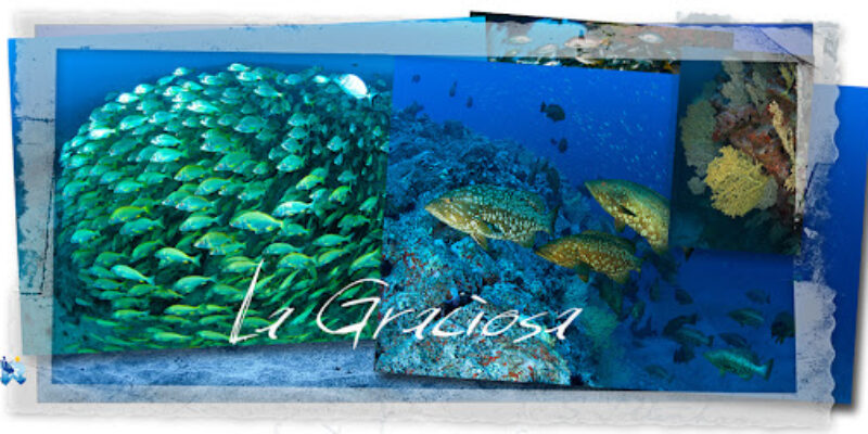 Buceo La Graciosa