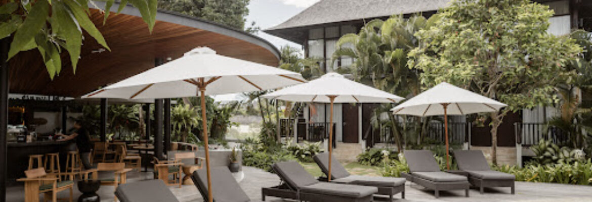 Wave House – Surf School & Surf Camp