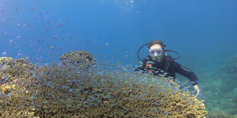 Bali Hai Diving Adventures Lembongan