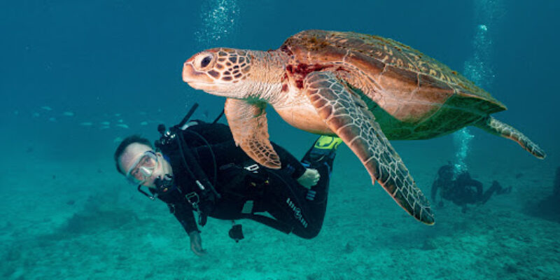 Kumasan No Diving Shop