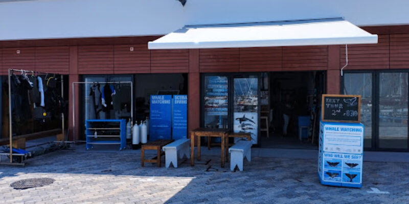 Dive Azores