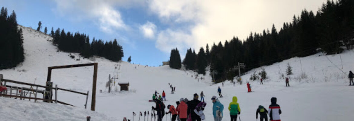 SKI ÄŒertovica