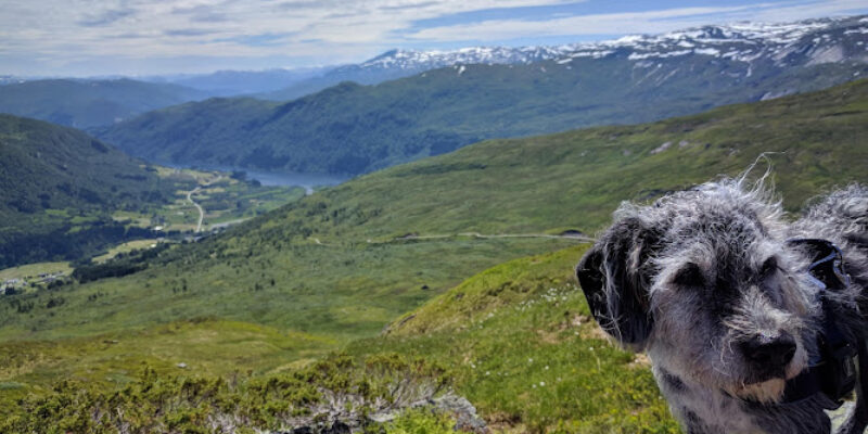 Løype 19 Myrkdalen