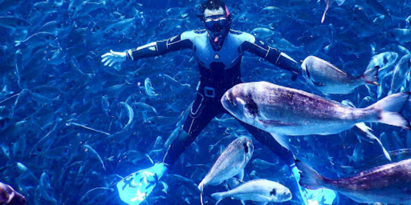 Chalki Dive Center