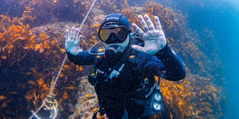 Joy Dive Resort