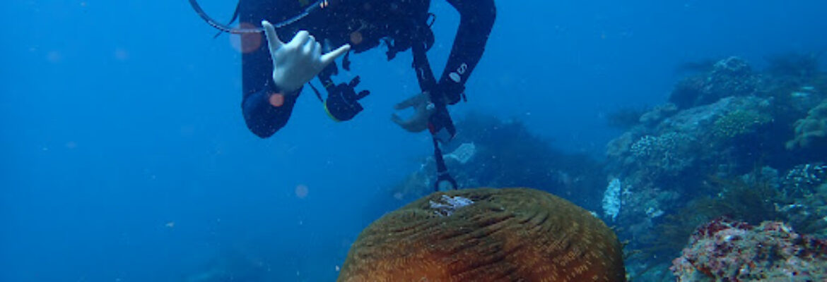 Nusa Dua Dive