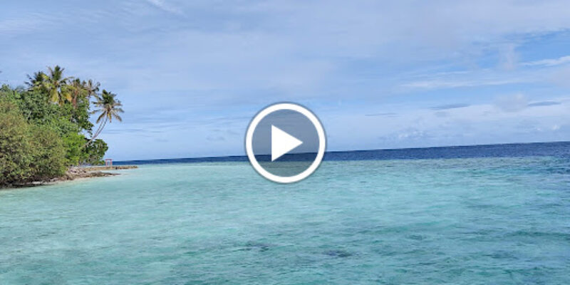 Ocean Dive
