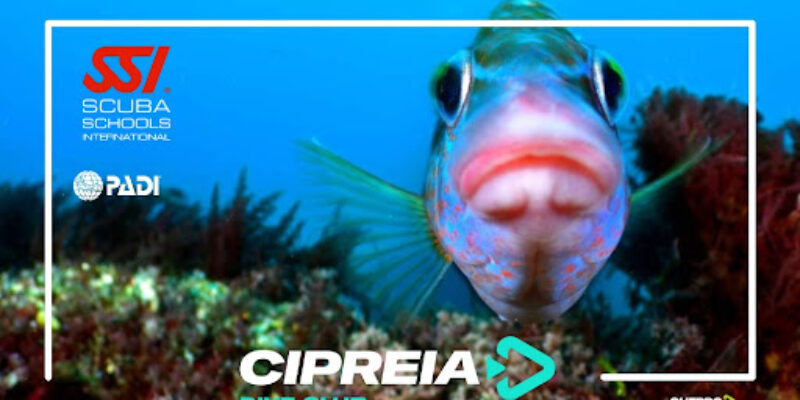 Cipreia LDA – Sesimbra