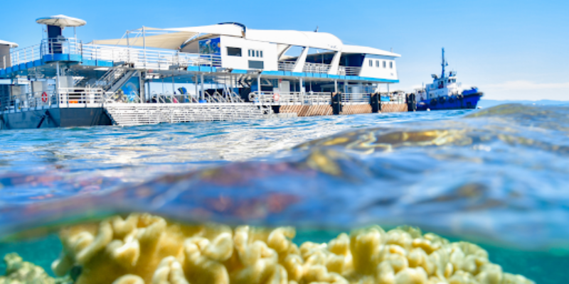 Reef Magic Cruises