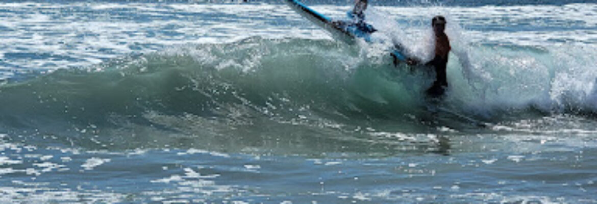 Wavehuggers