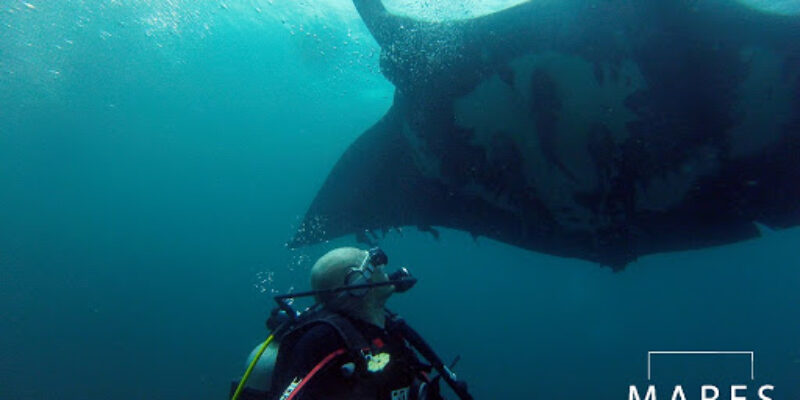 Mares Ecuador
