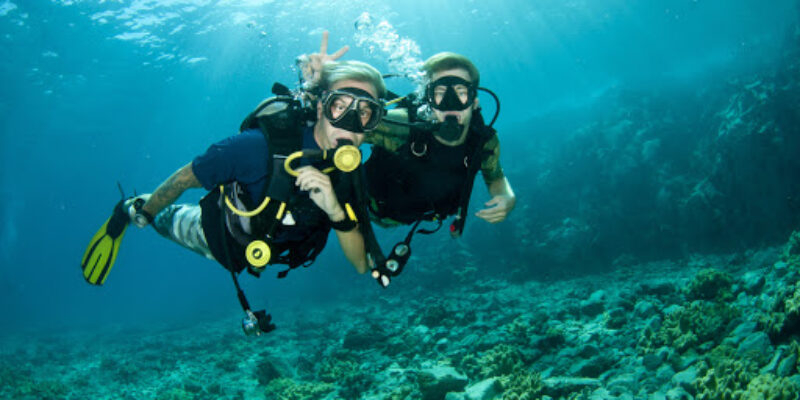 Bond Ocean Safari