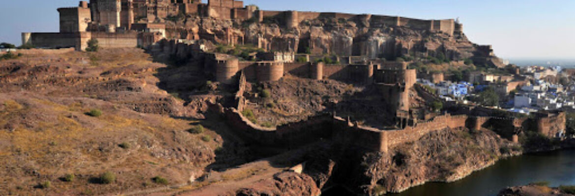 Flying Fox Jodhpur