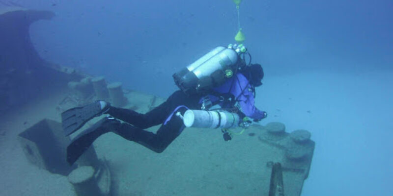 Dragon Divers