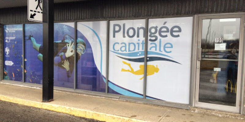 Plongee Capitale 2000