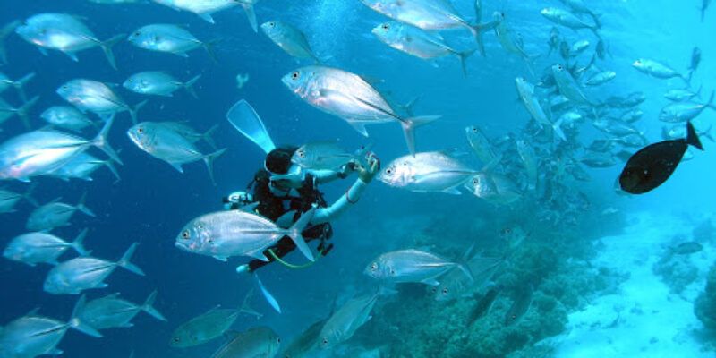 Sea U dive center