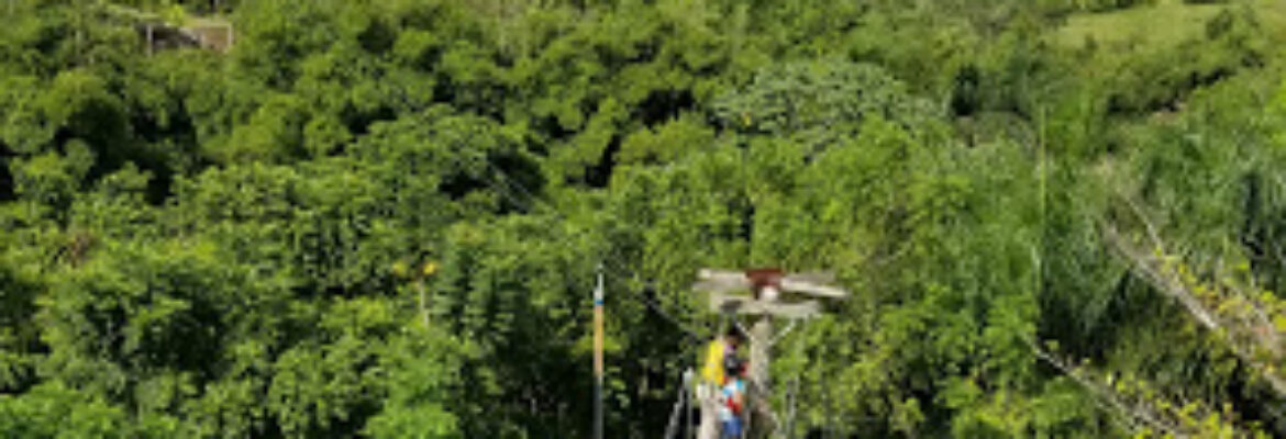 Zipline Park