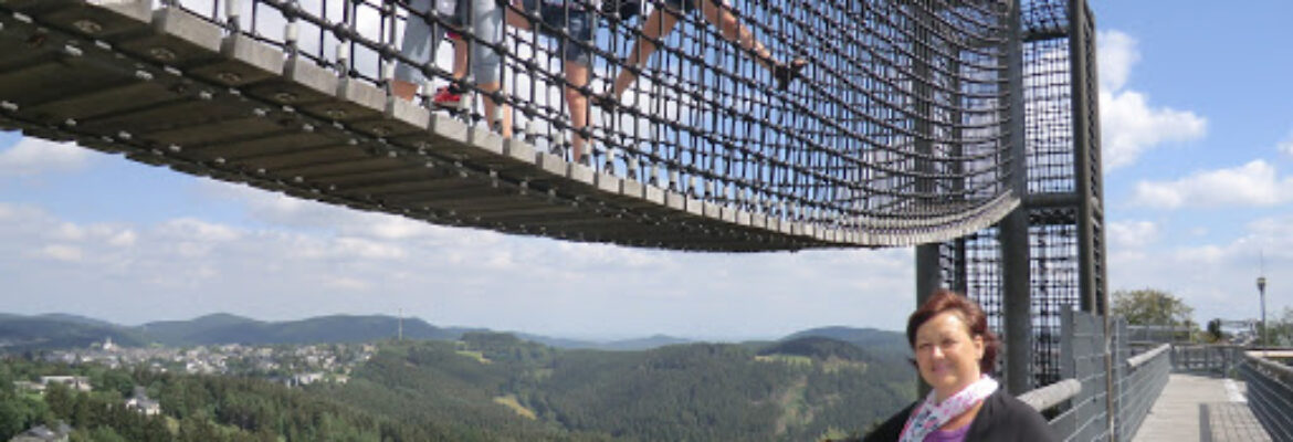 Panorama Adventure Bridge