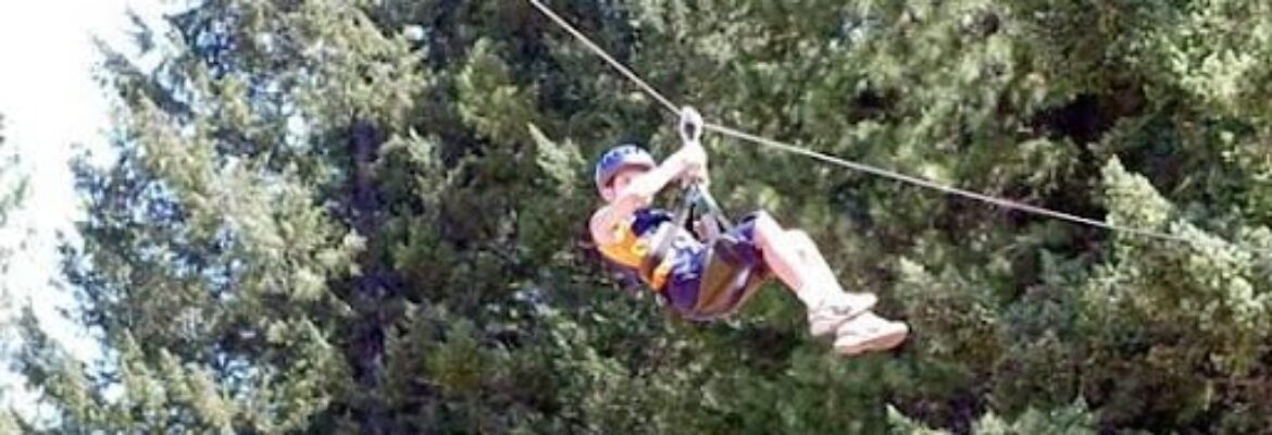 Treehouse Ziplines
