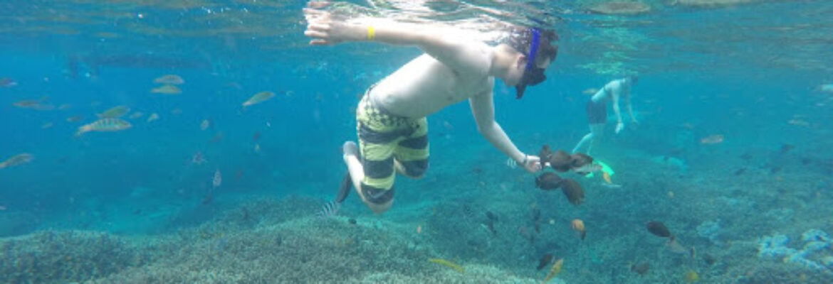 Dutha Nusa Tour and Snorkeling